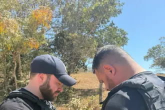 PCGO desarticula esquema de entrega de drogas e prende investigados em Cristalina – Policia Civil do Estado de Goiás