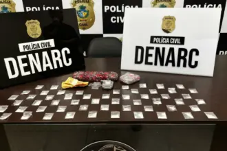 PCGO prende traficante em flagrante com diversas porções de drogas embaladas para a venda em Goiânia – Policia Civil do Estado de Goiás