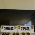 Polícia Civil apreende 300 munições de uso restrito e conduz dois investigados em flagrante – Policia Civil do Estado de Goiás