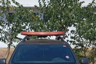 Polícia Civil prende homem em Ceres por crime de furto – Policia Civil do Estado de Goiás