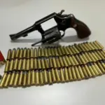 Polícia Civil prende homem na posse de arma de fogo em meio a investigação sobre morte de cão, em Formosa – Policia Civil do Estado de Goiás