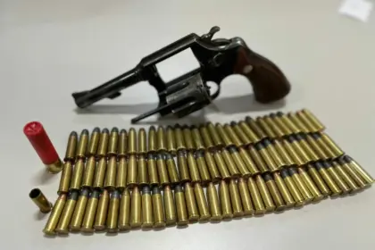 Polícia Civil prende homem na posse de arma de fogo em meio a investigação sobre morte de cão, em Formosa – Policia Civil do Estado de Goiás