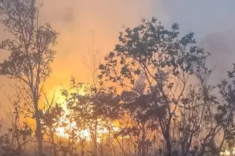 Em uma semana, queimadas disparam 152% em Goiás – Portal Goiás