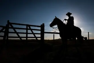 FCO Rural supera marca de R$ 1 bilhão em financiamentos aprovados em 2025 – Portal Goiás