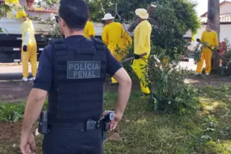 Reeducandos auxiliam na revitalização de espaços públicos em Goiás – Portal Goiás