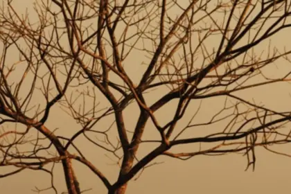 Goiás em alerta extremo para incêndios – Portal Goiás