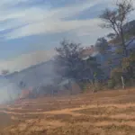 Incêndio de grandes proporções atinge região próxima ao Condomínio Vivalle em Goianésia