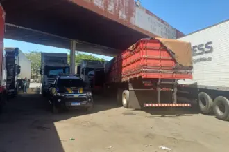 PRF desmantela quadrilha que furtava pneus de caminhões em Goiás