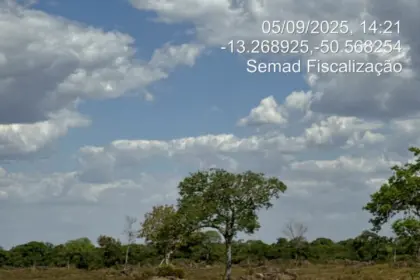 Ação integrada entre PCGO e Semad busca preservar ecossistemas do Lago Luiz Alves e do Rio Araguaia – Policia Civil do Estado de Goiás