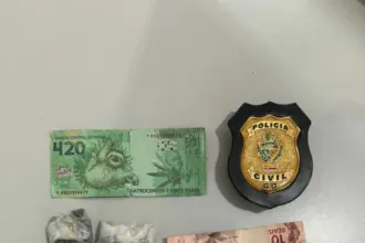 PCGO apreende adolescente por ato infracional análogo ao tráfico de drogas em Firminópolis – Policia Civil do Estado de Goiás