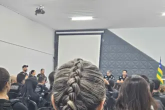 PCGO e PCDF localizam e prendem uma integrante de organização criminosa especializada em fraudes bancárias – Policia Civil do Estado de Goiás