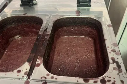 PCGO e Vigilância Sanitária interditam açaiteria em Goiânia por risco à saúde pública – Policia Civil do Estado de Goiás