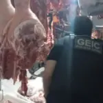 PCGO prende dono de açougue por vender carne furtada e imprópria para consumo em Luziânia – Policia Civil do Estado de Goiás