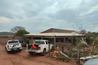 PCGO prende homem por receptação de fios furtados e posse irregular de munições em Pontalina – Policia Civil do Estado de Goiás