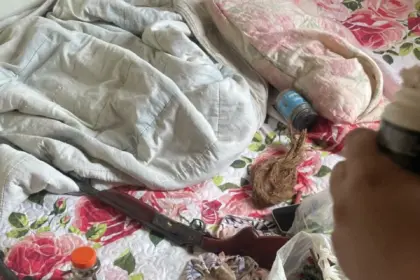 PCGO prende homem em flagrante por agressões, ameaças e posse ilegal de armas em Araguapaz – Policia Civil do Estado de Goiás