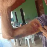 PCGO prende mulher por maus-tratos e cárcere privado contra marido idoso e filho com necessidades especiais – Policia Civil do Estado de Goiás