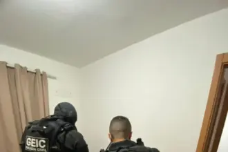 PCGO prende suspeito de aplicar “golpe do falso intermediário” na venda de gado a vítima de Padre Bernardo – Policia Civil do Estado de Goiás