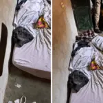 PCGO prende em flagrante homem que mantinha mulher em cárcere privado em Britânia – Policia Civil do Estado de Goiás