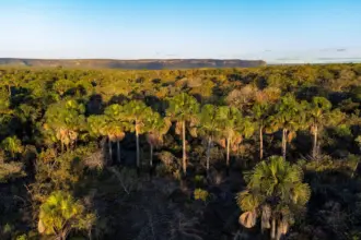 Goiás remunera produtores rurais que preservam Cerrado – Portal Goiás