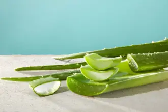 5 benefícios da aloe vera para a pele