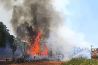 Bombeiros de Goianésia combatem incêndio em canavial na GO-080 e outros 3 grandes incêndios