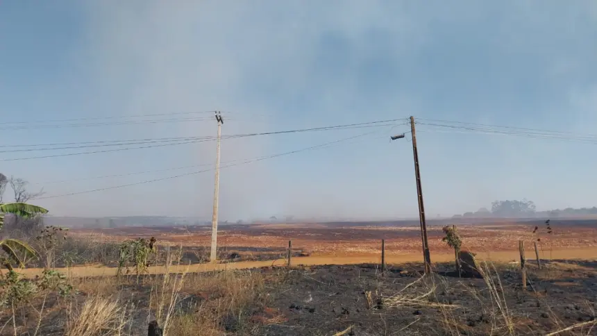 Equatorial Goiás registra mais de 30 ocorrências de queimadas nos primeiros dias de setembro