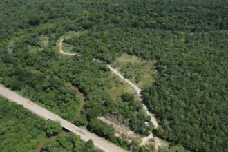 Esquema de estelionato em Barro Alto prometia 69 lotes em área preservada