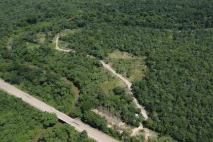 Esquema de estelionato em Barro Alto prometia 69 lotes em área preservada