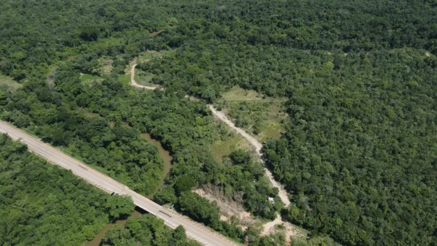 Esquema de estelionato em Barro Alto prometia 69 lotes em área preservada