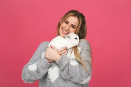 7 cuidados com coelhos de estimação
