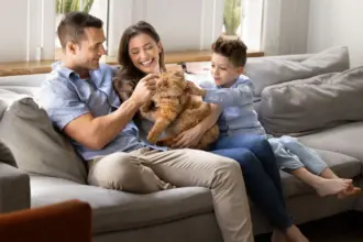 12 nomes perfeitos para gatos carinhosos 