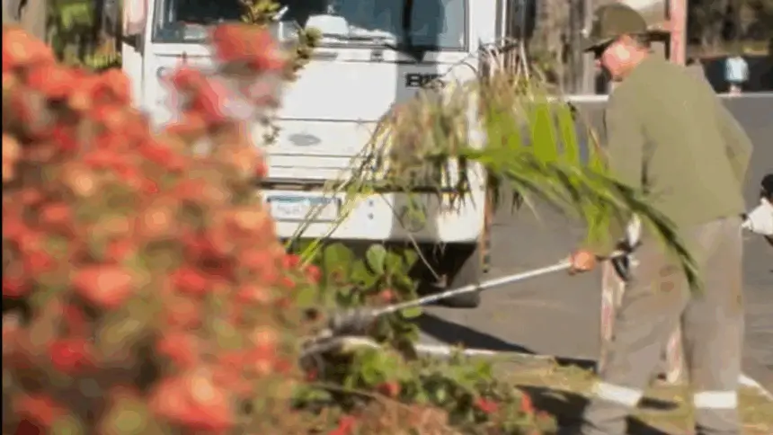 Prefeitura de Goianésia realiza manutenção no Parque da Lagoa Princesa do Vale