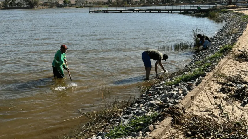 Prefeitura realiza grande mutirão no Parque da Lagoa Princesa do Vale nesta sexta