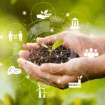 Veja os temas de ecologia mais cobrados nos vestibulares