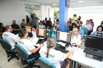 Novo Feirão de Empregos terá mais de mil vagas e salários de até R$ 4 mil – Portal Goiás