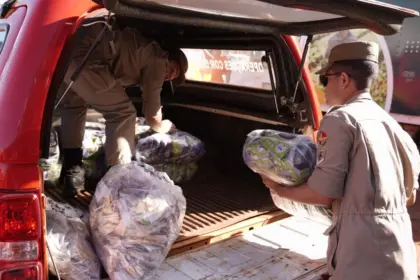 Operação Goiás Alerta e Solidário entrega benefícios sociais – Portal Goiás