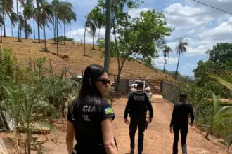 PCGO autua em flagrante autor de furto de energia elétrica em propriedade rural de Niquelândia – Policia Civil do Estado de Goiás