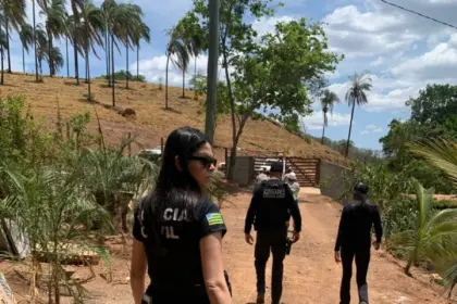 PCGO autua em flagrante autor de furto de energia elétrica em propriedade rural de Niquelândia – Policia Civil do Estado de Goiás