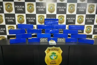 PCGO desativa apartamento usado como depósito de drogas e apreende grande quantidade de maconha – Policia Civil do Estado de Goiás