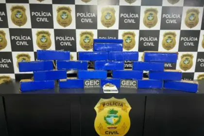 PCGO desativa apartamento usado como depósito de drogas e apreende grande quantidade de maconha – Policia Civil do Estado de Goiás