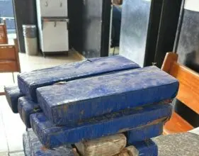 PCGO e PMGO apreendem drogas que estavam enterradas em uma casa de Caldas Novas – Policia Civil do Estado de Goiás