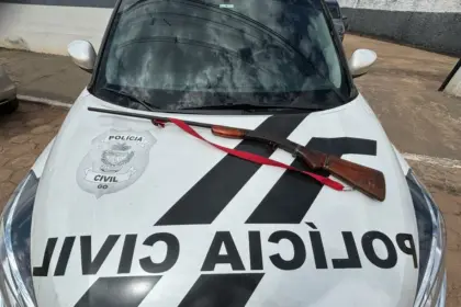 PCGO prende homem por posse ilegal de arma de fogo em propriedade rural de Crixás – Policia Civil do Estado de Goiás