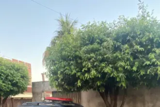 PCGO prende homem por tráfico e apreende aproximadamente R$ 450 mil em drogas em Pires do Rio – Policia Civil do Estado de Goiás