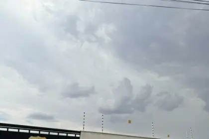 PCGO prende mãe e filho por comercialização irregular de pescado impróprio ao consumo em Piracanjuba – Policia Civil do Estado de Goiás