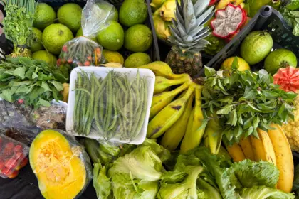 Governo beneficia mais de 2 mil produtores da agricultura familiar – Portal Goiás