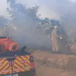 Bombeiros de Goianésia atuam em cinco incêndios em vegetação em um único dia