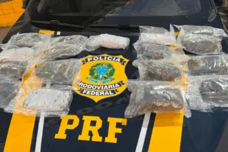 Forças policiais apreendem 20kg de haxixe na BR-153