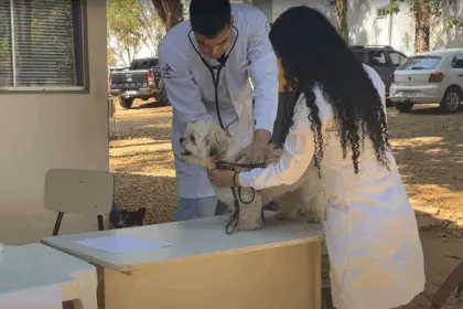 Goianésia realiza 2ª Campanha Pública de Castração de Cães e Gatos Machos