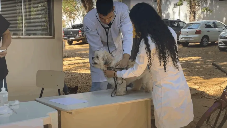 Goianésia realiza 2ª Campanha Pública de Castração de Cães e Gatos Machos