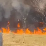 Incêndio de grandes proporções devasta mais de 50 propriedades em Santa Isabel